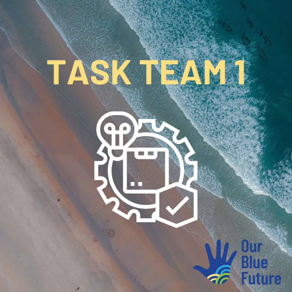 Task Team 1