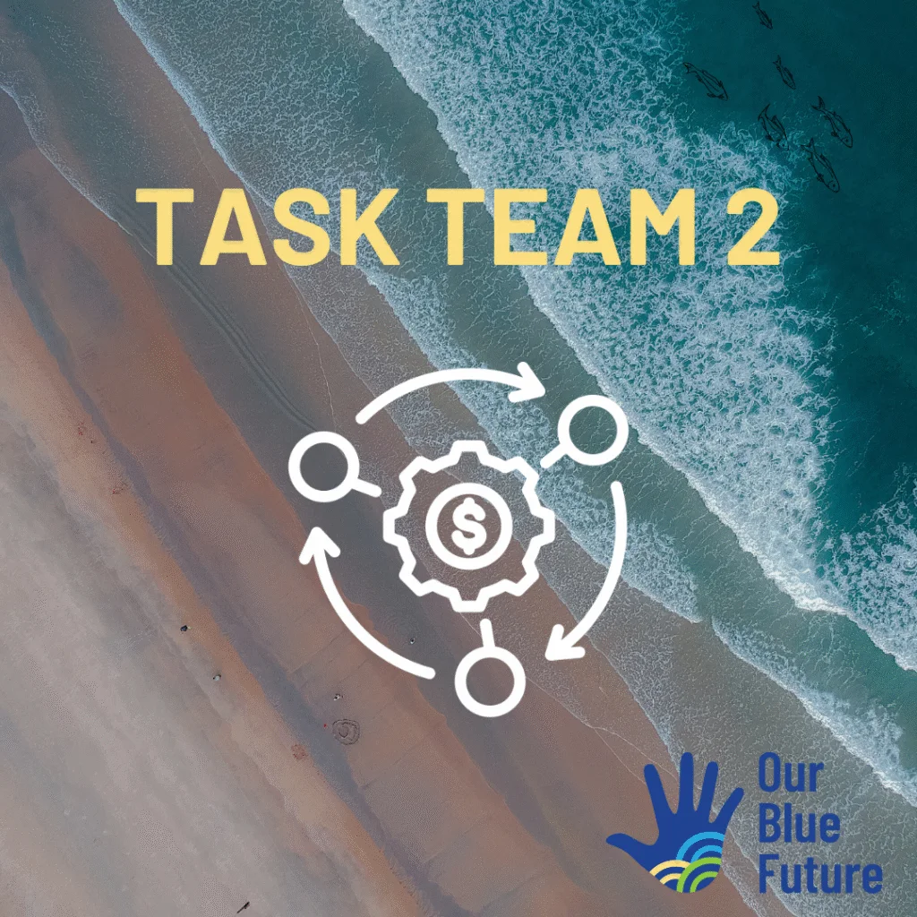 Task Team 2
