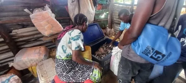 Sustainable Fishing: A Kenyan Entrepreneur’s Remarkable Journey