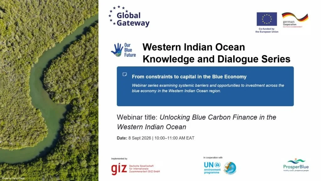 Unlocking Blue Carbon Finance in the Western Indian Ocean