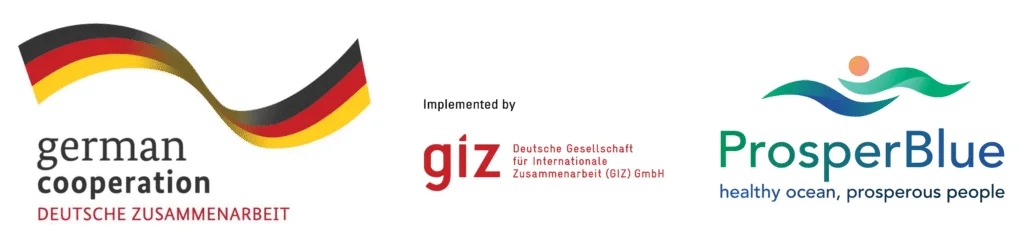 The Deutsche Gesellschaft für Internationale Zusammenarbeit (GIZ) GmbH logo