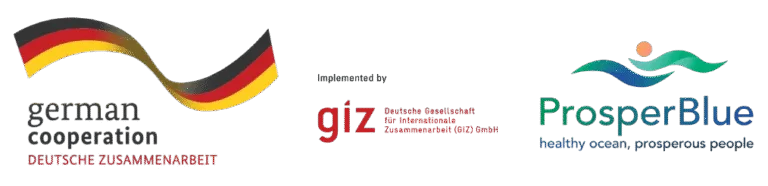 GIZ_logo_for_OBF-removebg-preview