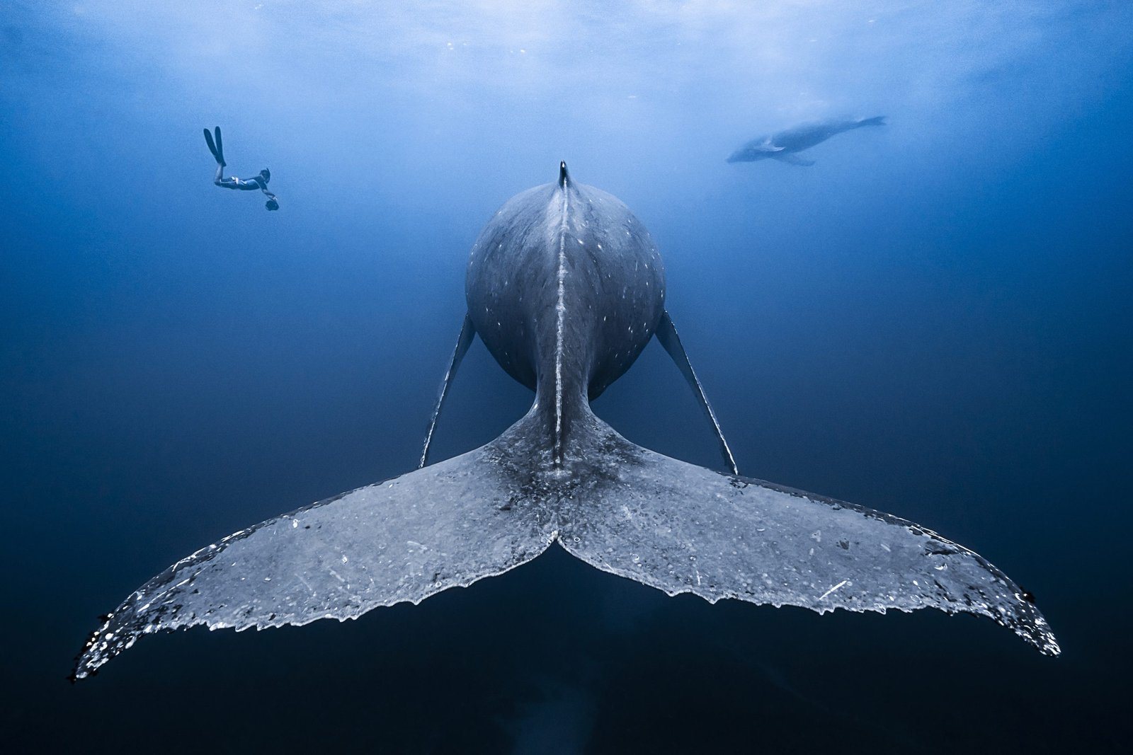 The ocean connects us all